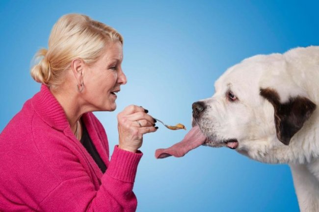 УЛЫБНИТЕСЬ! Собака с самым длинным языком в мире. Узнайте сколько сантиметров!